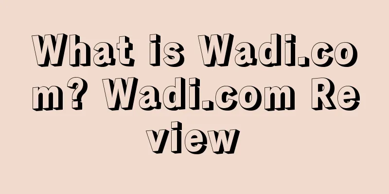 What is Wadi.com? Wadi.com Review