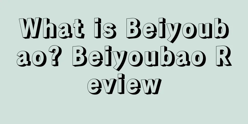 What is Beiyoubao? Beiyoubao Review