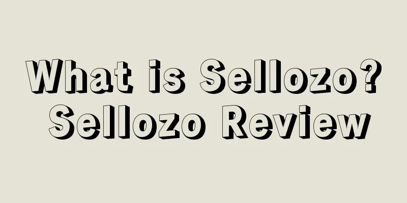 What is Sellozo? Sellozo Review