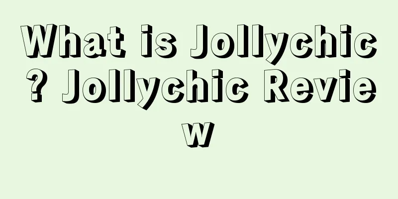 What is Jollychic? Jollychic Review