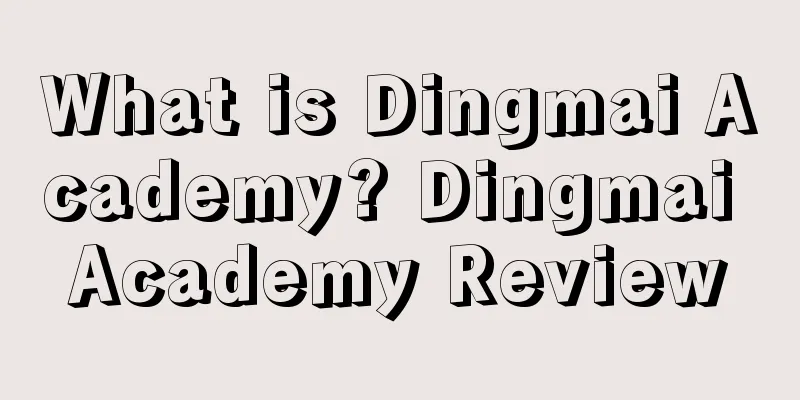 What is Dingmai Academy? Dingmai Academy Review