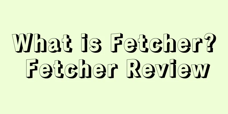 What is Fetcher? Fetcher Review