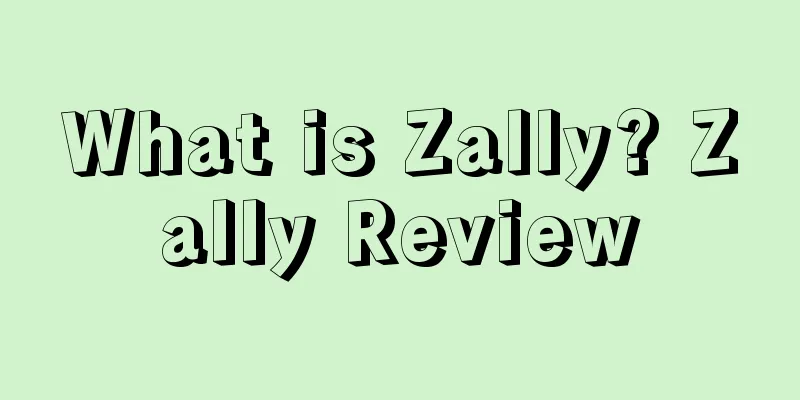 What is Zally? Zally Review