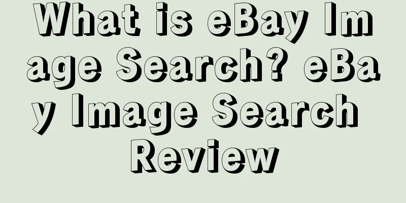What is eBay Image Search? eBay Image Search Review