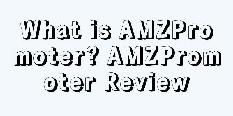 What is AMZPromoter? AMZPromoter Review