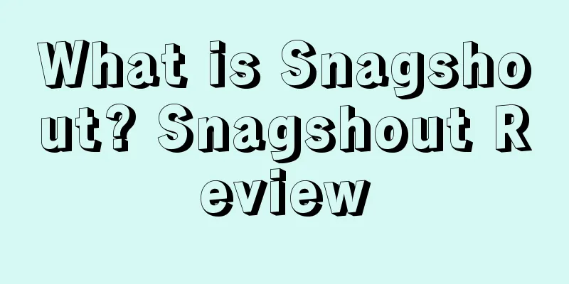 What is Snagshout? Snagshout Review