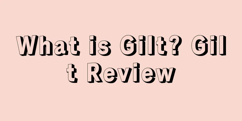 What is Gilt? Gilt Review