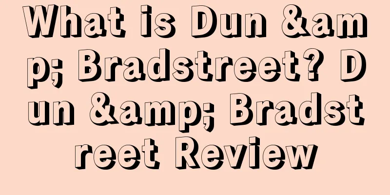 What is Dun & Bradstreet? Dun & Bradstreet Review