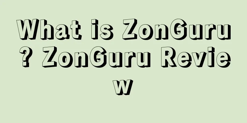 What is ZonGuru? ZonGuru Review
