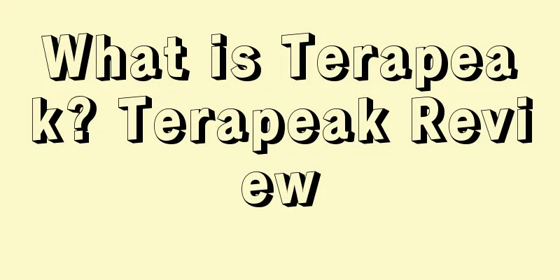 What is Terapeak? Terapeak Review
