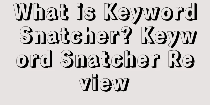 What is Keyword Snatcher? Keyword Snatcher Review