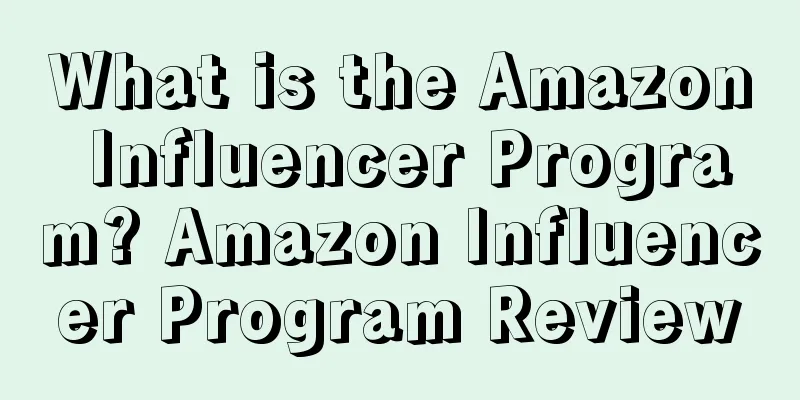 What is the Amazon Influencer Program? Amazon Influencer Program Review