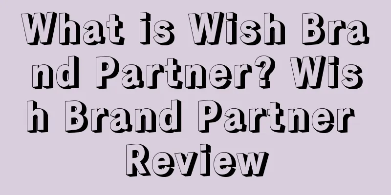 What is Wish Brand Partner? Wish Brand Partner Review