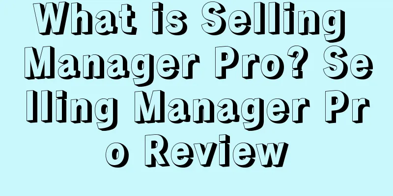 What is Selling Manager Pro? Selling Manager Pro Review