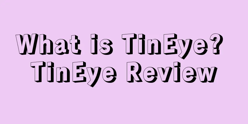 What is TinEye? TinEye Review