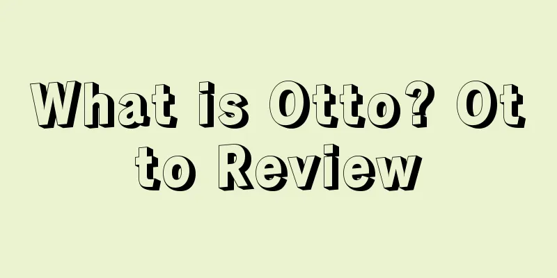 What is Otto? Otto Review