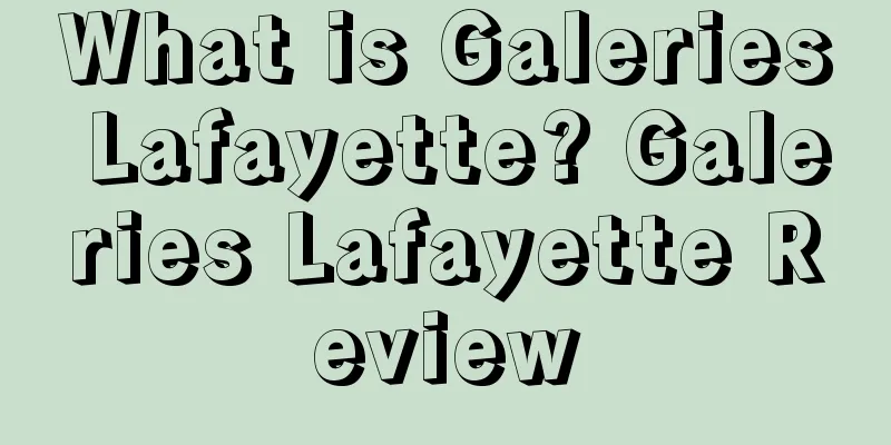 What is Galeries Lafayette? Galeries Lafayette Review
