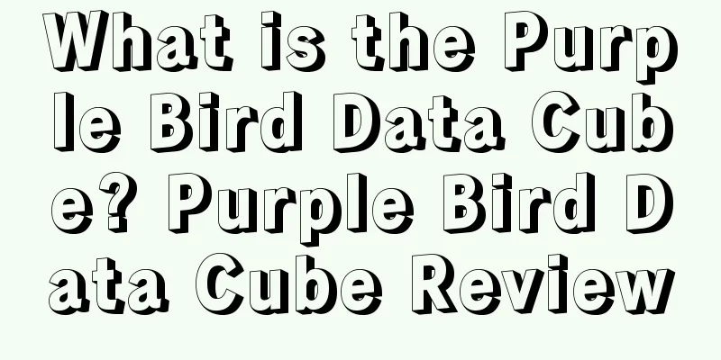 What is the Purple Bird Data Cube? Purple Bird Data Cube Review