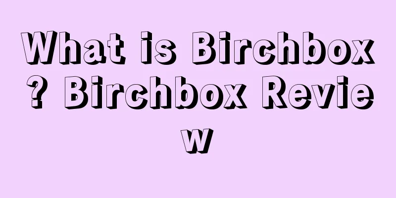 What is Birchbox? Birchbox Review