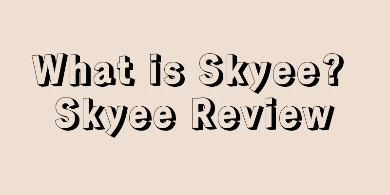 What is Skyee? Skyee Review