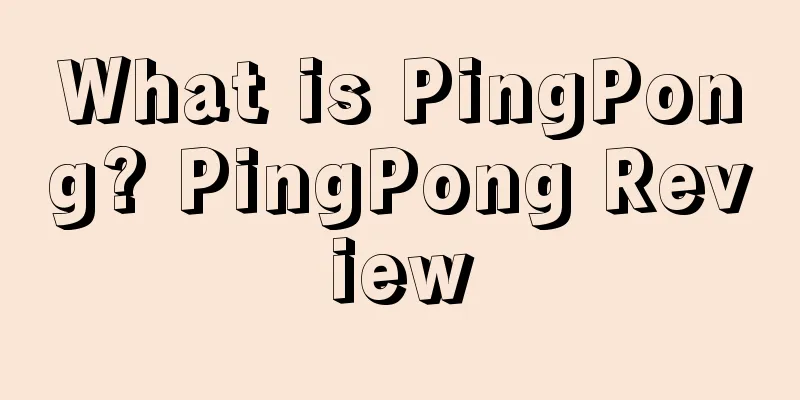 What is PingPong? PingPong Review