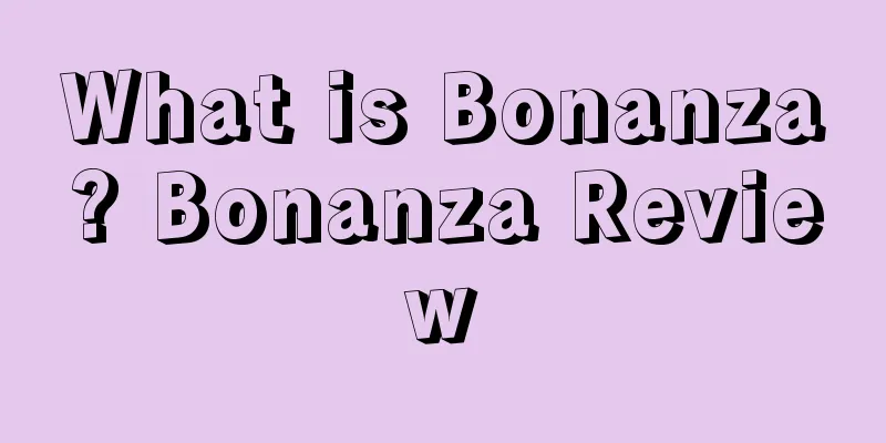 What is Bonanza? Bonanza Review