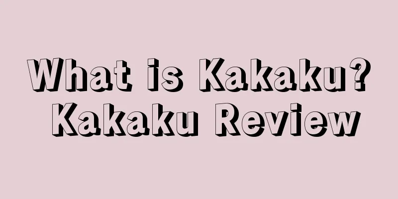What is Kakaku? Kakaku Review