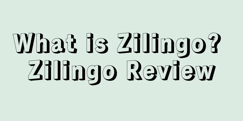 What is Zilingo? Zilingo Review
