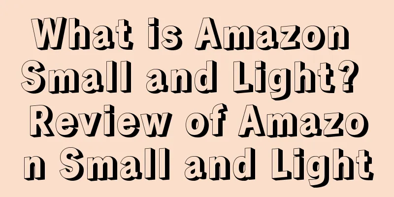 What is Amazon Small and Light? Review of Amazon Small and Light