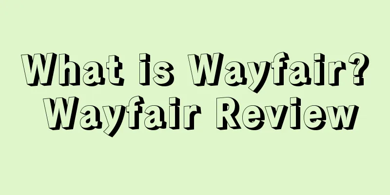 What is Wayfair? Wayfair Review