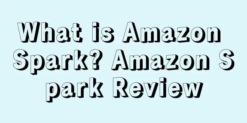 What is Amazon Spark? Amazon Spark Review