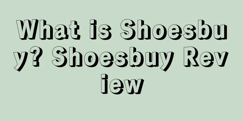 What is Shoesbuy? Shoesbuy Review
