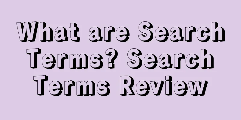 What are Search Terms? Search Terms Review