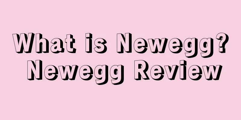 What is Newegg? Newegg Review