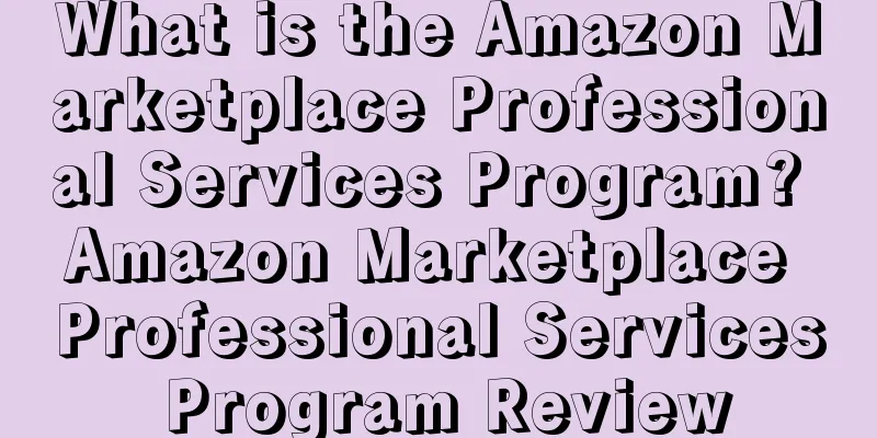 What is the Amazon Marketplace Professional Services Program? Amazon Marketplace Professional Services Program Review