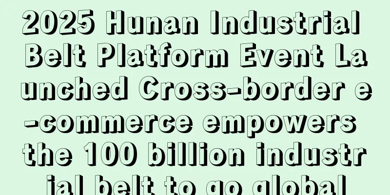2025 Hunan Industrial Belt Platform Event Launched Cross-border e-commerce empowers the 100 billion industrial belt to go global