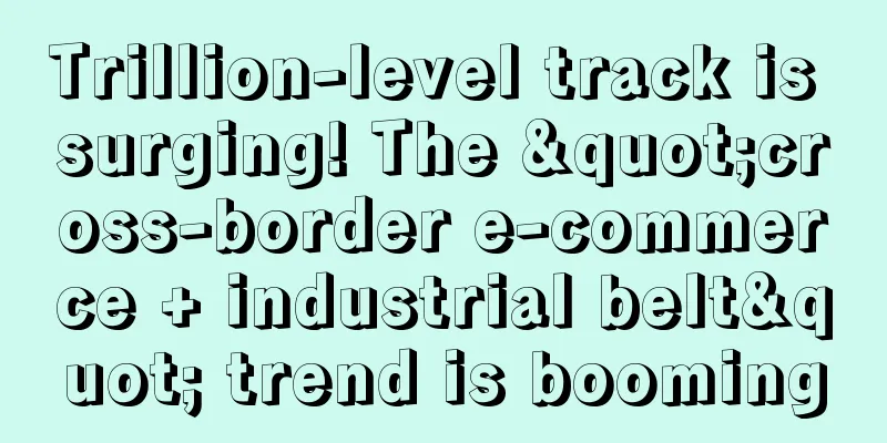 Trillion-level track is surging! The "cross-border e-commerce + industrial belt" trend is booming