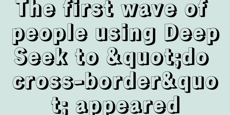 The first wave of people using DeepSeek to "do cross-border" appeared