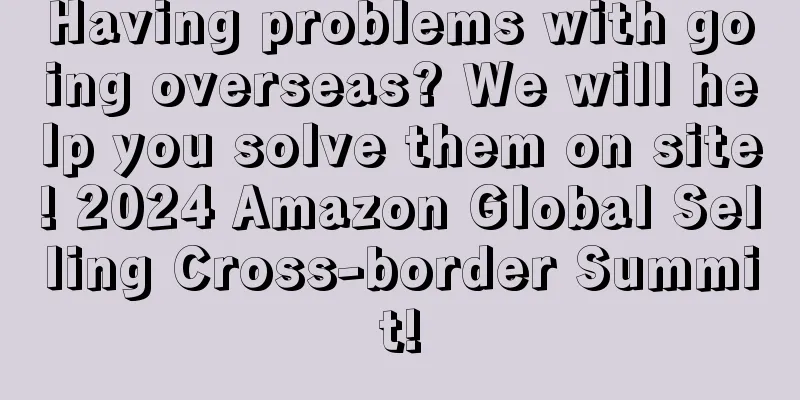 Having problems with going overseas? We will help you solve them on site! 2024 Amazon Global Selling Cross-border Summit!