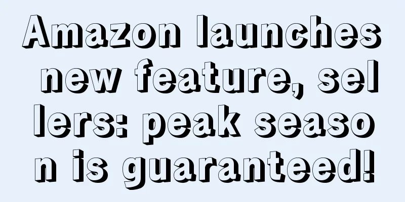 Amazon launches new feature, sellers: peak season is guaranteed!