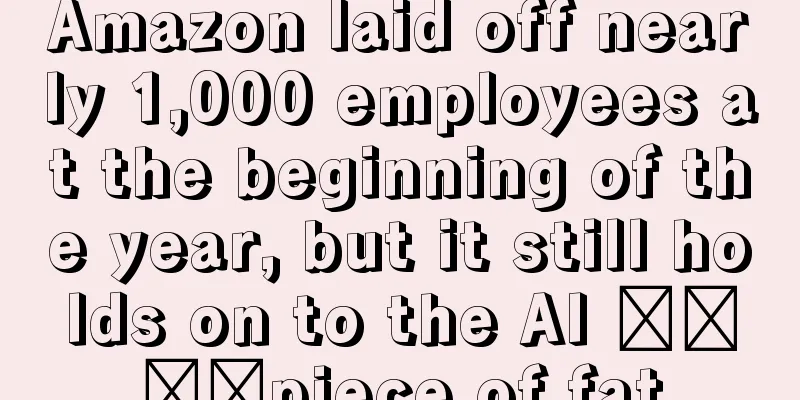 Amazon laid off nearly 1,000 employees at the beginning of the year, but it still holds on to the AI ​​​​piece of fat