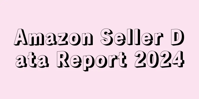 Amazon Seller Data Report 2024
