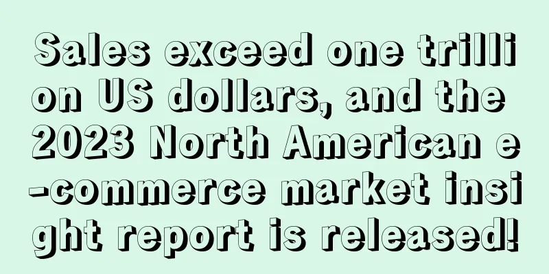 Sales exceed one trillion US dollars, and the 2023 North American e-commerce market insight report is released!