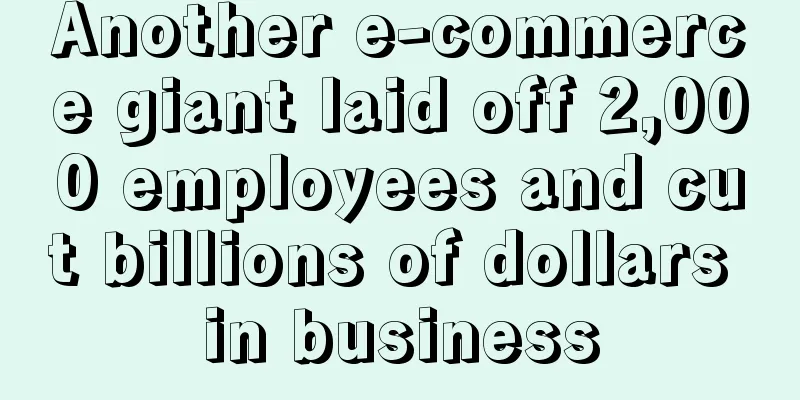 Another e-commerce giant laid off 2,000 employees and cut billions of dollars in business