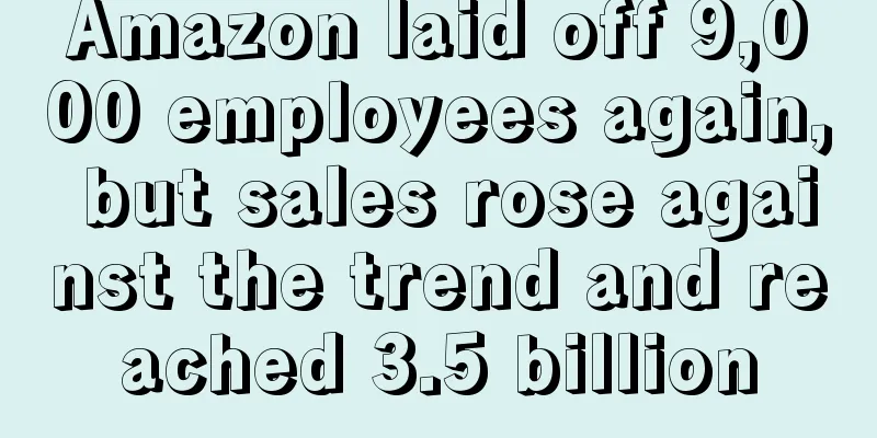 Amazon laid off 9,000 employees again, but sales rose against the trend and reached 3.5 billion