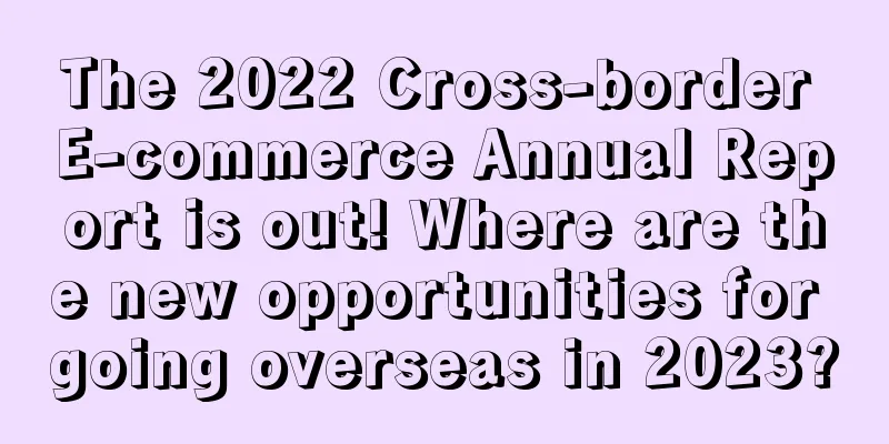 The 2022 Cross-border E-commerce Annual Report is out! Where are the new opportunities for going overseas in 2023?