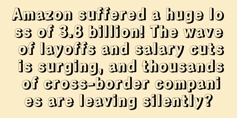 Amazon suffered a huge loss of 3.8 billion! The wave of layoffs and salary cuts is surging, and thousands of cross-border companies are leaving silently?