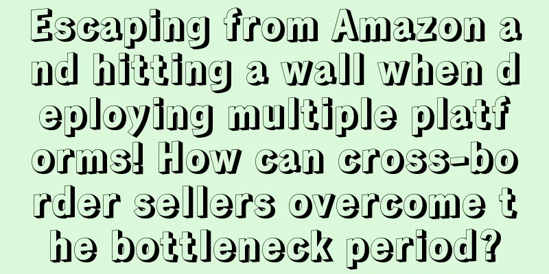 Escaping from Amazon and hitting a wall when deploying multiple platforms! How can cross-border sellers overcome the bottleneck period?