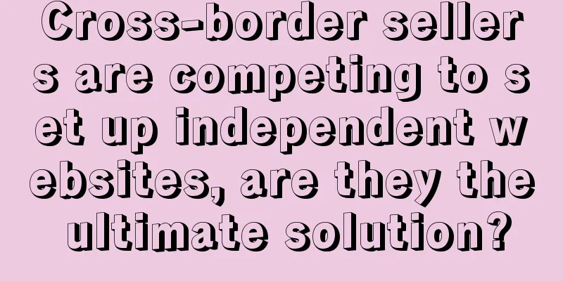 Cross-border sellers are competing to set up independent websites, are they the ultimate solution?