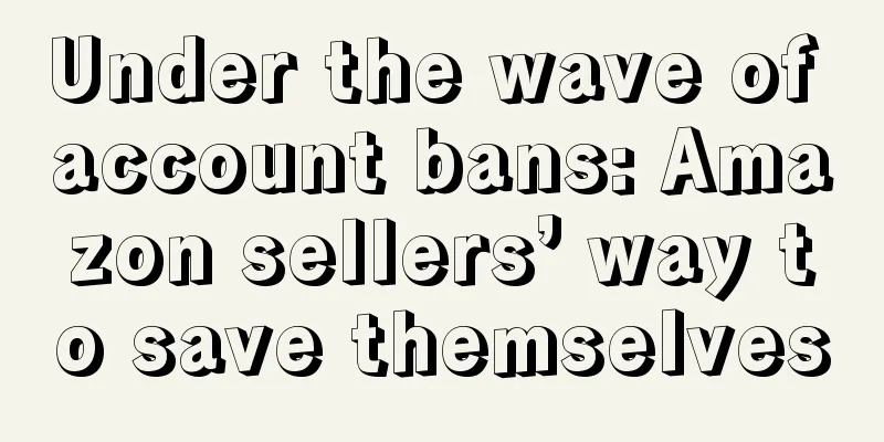 Under the wave of account bans: Amazon sellers’ way to save themselves